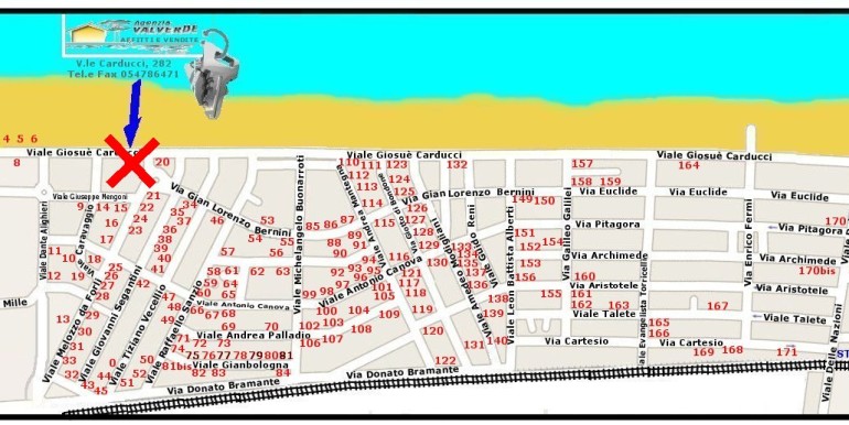 nettuno
